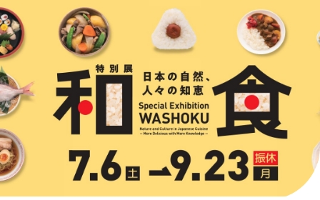 美術館・博物館の歴史