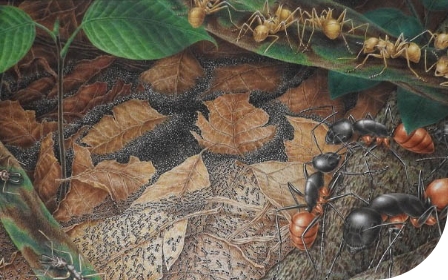 美術館・博物館の歴史