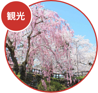 東北の美術館・博物館